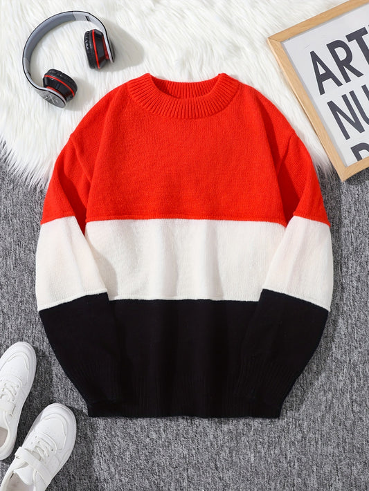 Men's Color Block Pullover Sweater - Long Sleeve Crew Neck Regular Fit, Trendy and Casual for Autumn Winter Daily Wear