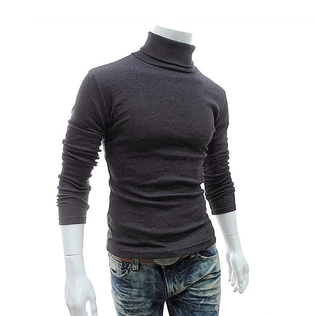 Men's Sweater Turtleneck Sweater Knit Turtleneck Clothing Apparel Winter Black Blue S M L