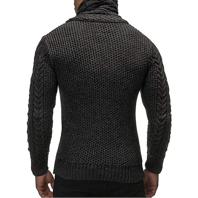 Men's Sweater Cardigan Knit Knitted Braided Turtleneck Daily Wear Clothing Apparel Winter Fall White Black S M L